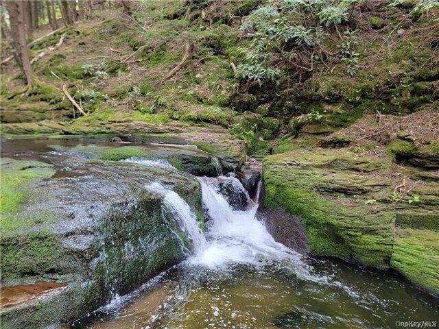 Land for sale in Claryville, New York