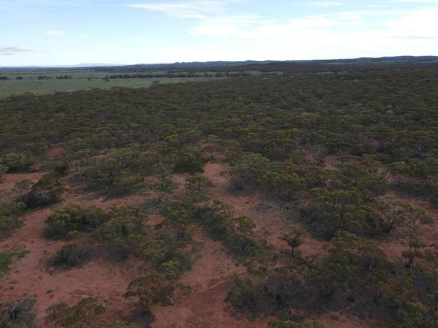 Land for sale in Parnaroo, South Australia