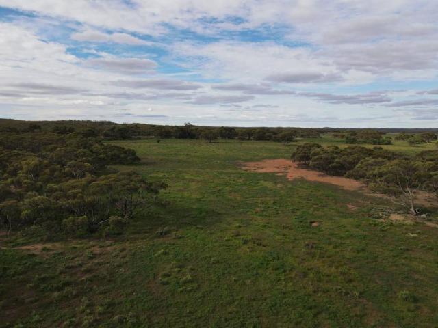 Land for sale in Parnaroo, South Australia