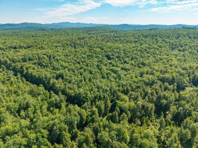 Land for sale in Parsonsfield, Maine