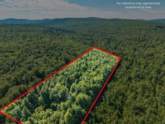 Land for sale in Parsonsfield, Maine