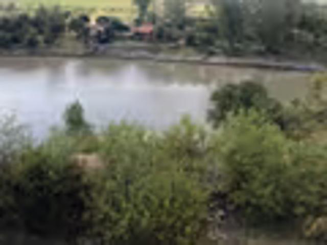 Land for sale in Koppies, Free State