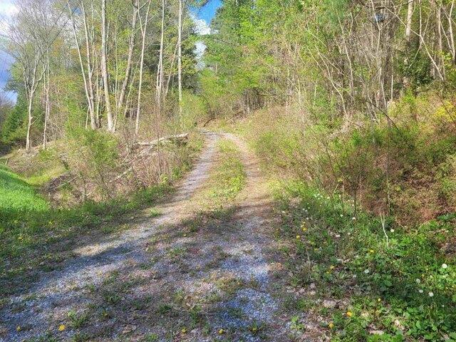 Land for sale in Pawlet, Vermont