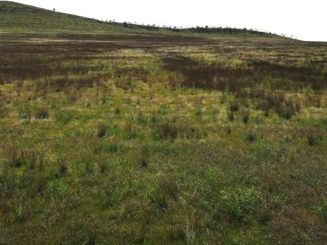 Land for sale in Pekina, South Australia