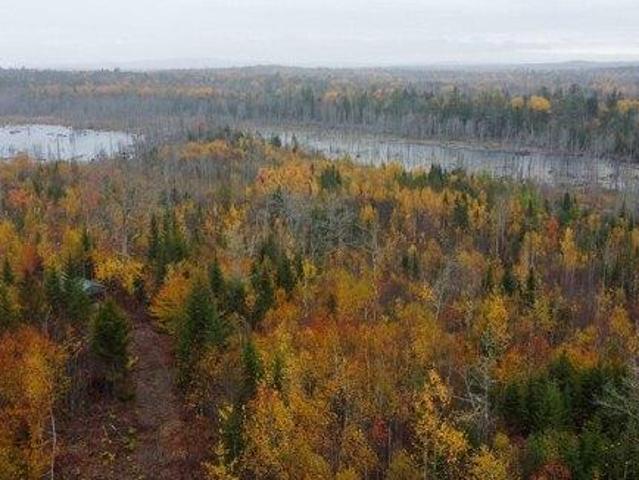 Land for sale in Pembroke, Maine