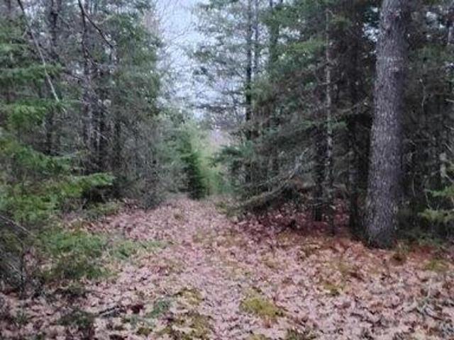 Land for sale in Pembroke, Maine