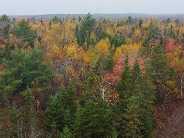 Land for sale in Pembroke, Maine