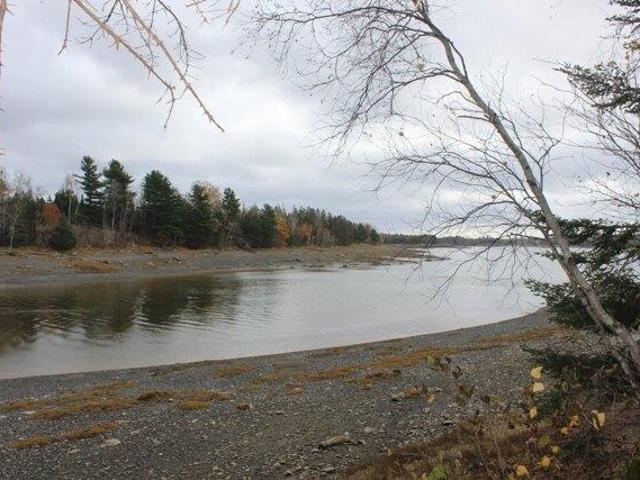 Land for sale in Pembroke, Maine
