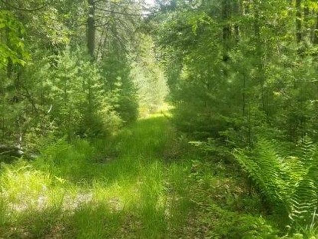 Land for sale in Penobscot, Maine