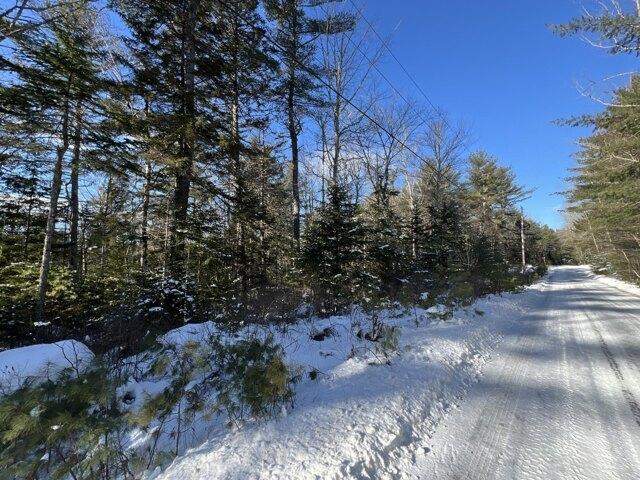 Land for sale in Penobscot, Maine