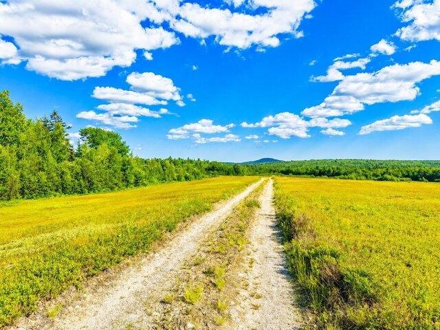 Land for sale in Penobscot, Maine