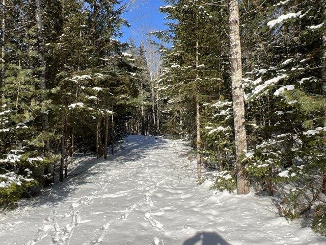 Land for sale in Penobscot, Maine