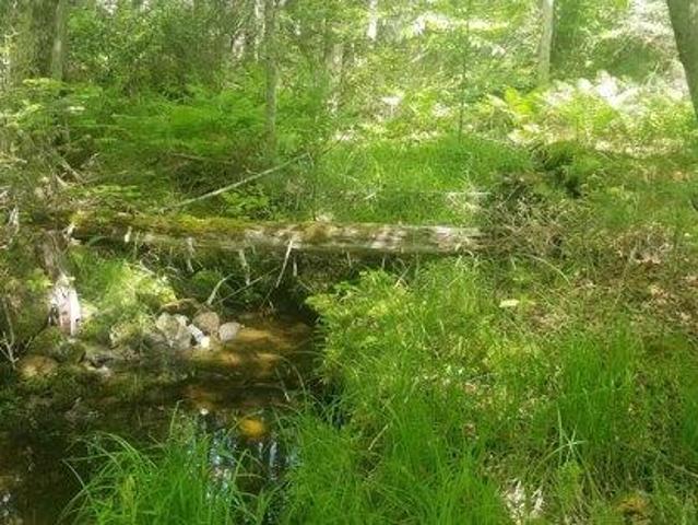 Land for sale in Penobscot, Maine