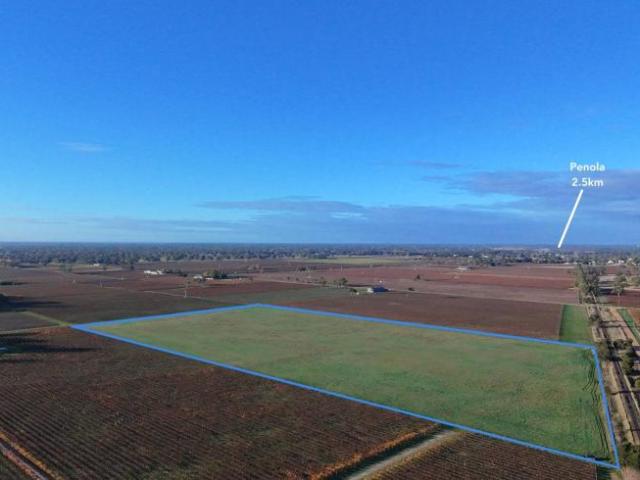 Land for rent in Comaum, South Australia