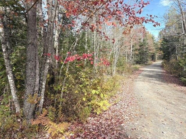 Land for sale in Perry, Maine