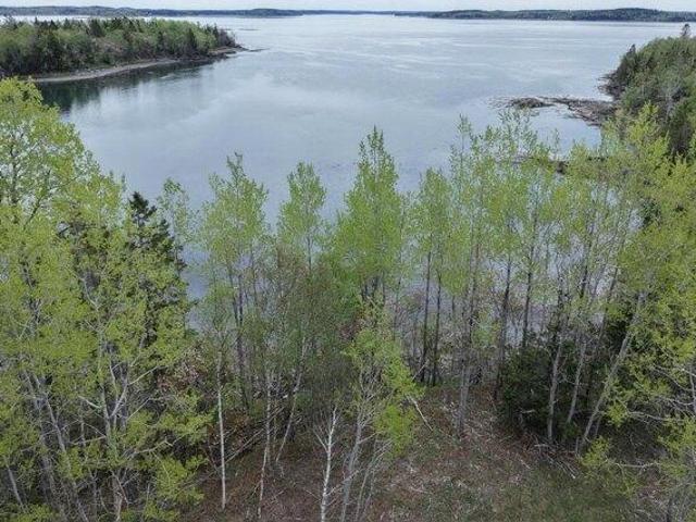 Land for sale in Perry, Maine
