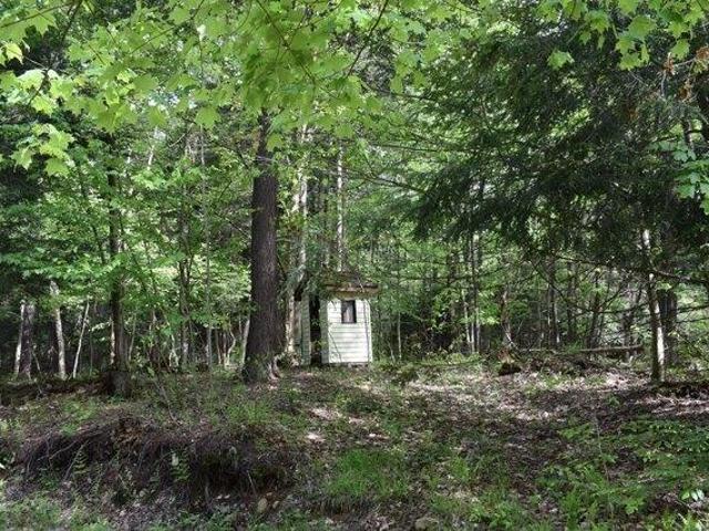 Land for sale in Dayton, New York