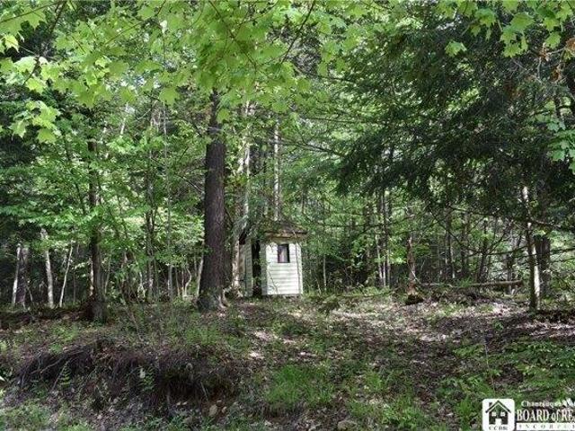 Land for sale in Dayton, New York