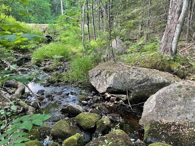 Land for sale in Peru, Maine