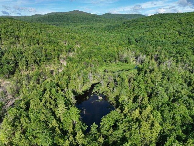 Land for sale in Peru, Maine