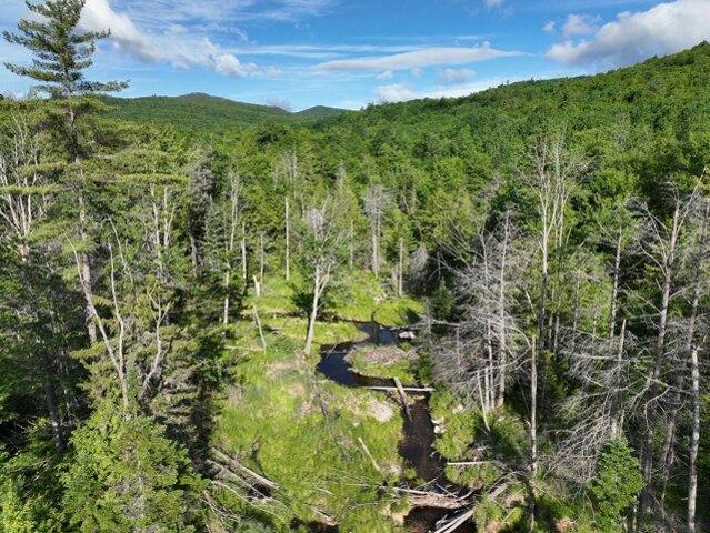 Land for sale in Peru, Maine
