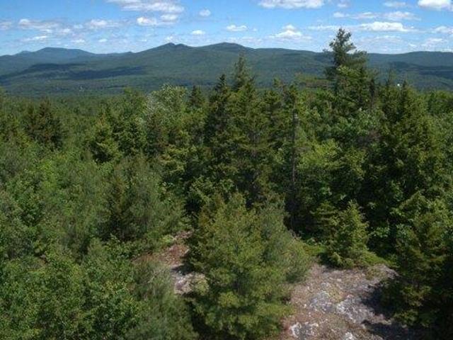 Land for sale in Peru, Maine