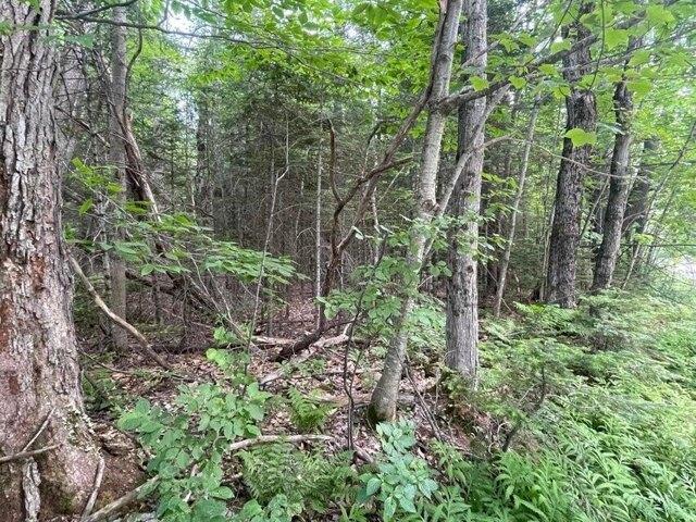 Land for sale in Peru, Maine