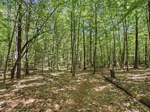 Land for sale in Petersham, Massachusetts
