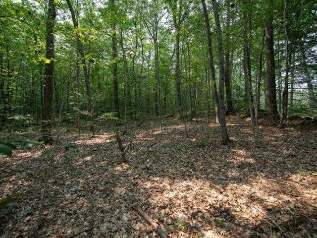 Land for sale in Petersham, Worcester County