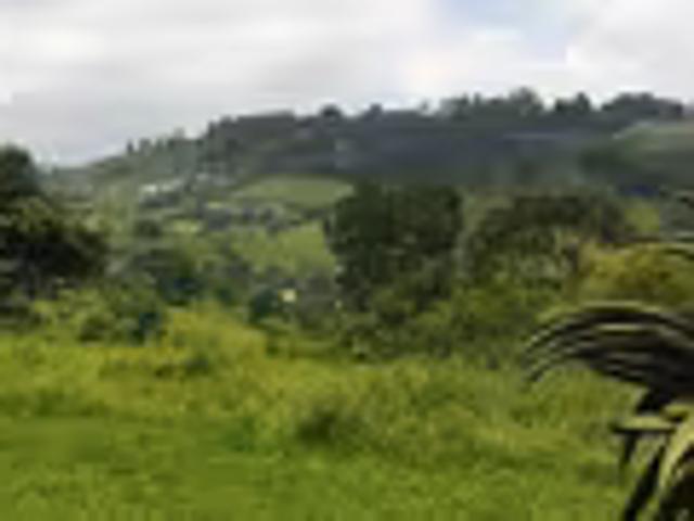 Land for sale