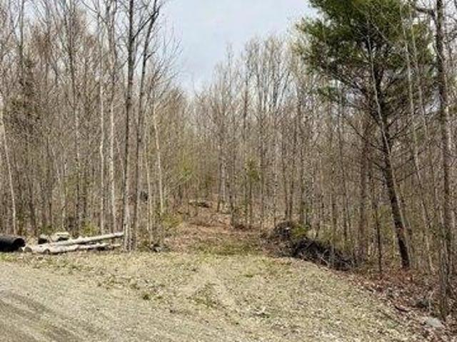 Land for sale in Phillips, Maine