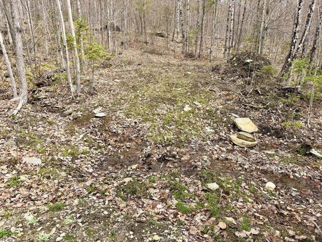 Land for sale in Phillips, Maine