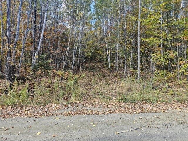 Land for sale in Phillips, Maine