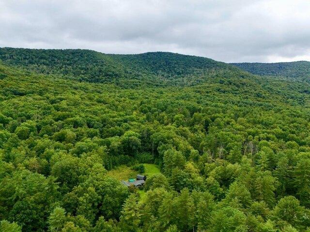 Land for sale in Phoenicia