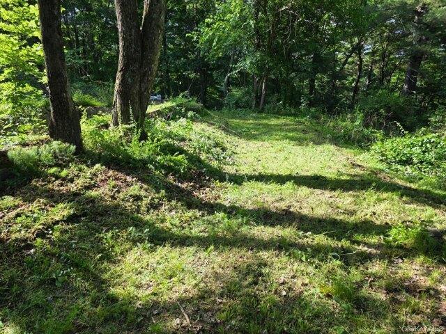 Land for sale in Pine Plains, New York