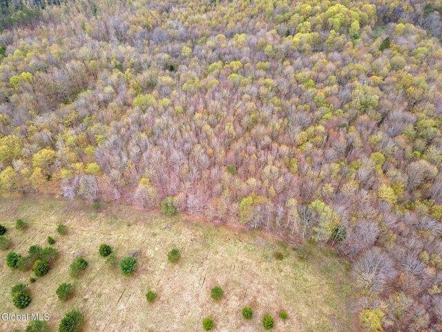 Land for sale in Pitcher, New York
