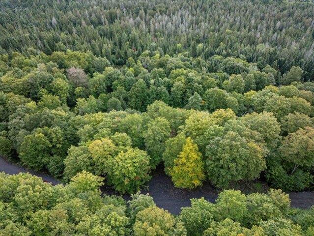 Land for sale in Pittsburg, Coös County