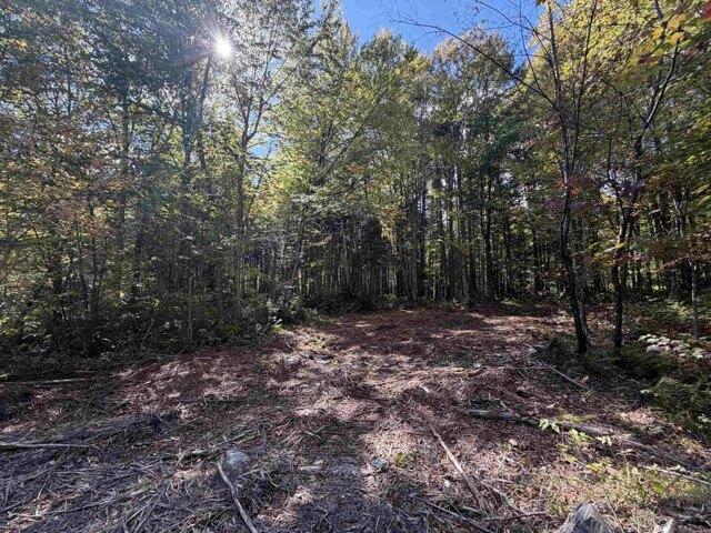 Land for sale in Pittsburg, Coös County