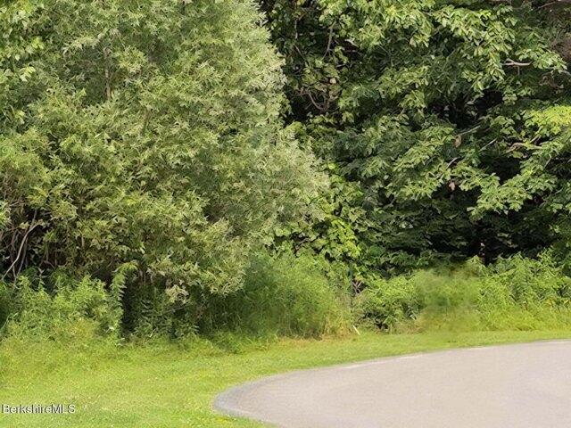 Land for sale in Pittsfield, Berkshire County