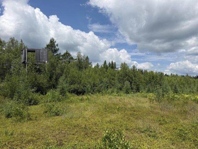 Land for sale in Pittsfield, Maine