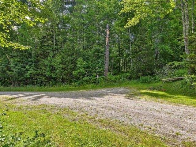 Land for sale in Pittsfield, Vermont