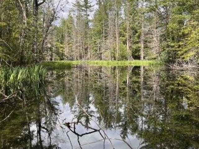 Land for sale in Plainfield, Sullivan County
