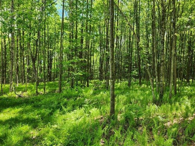 Land for sale in Plymouth, New York
