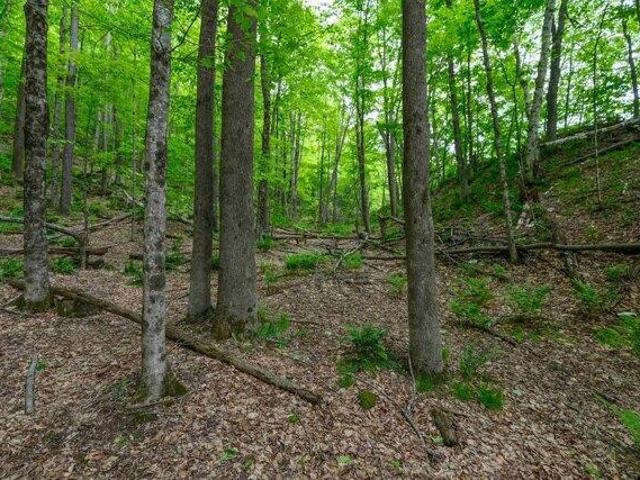 Land for sale in Plymouth, Vermont