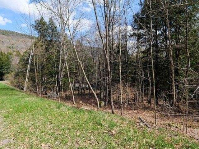 Land for sale in Plymouth, Vermont