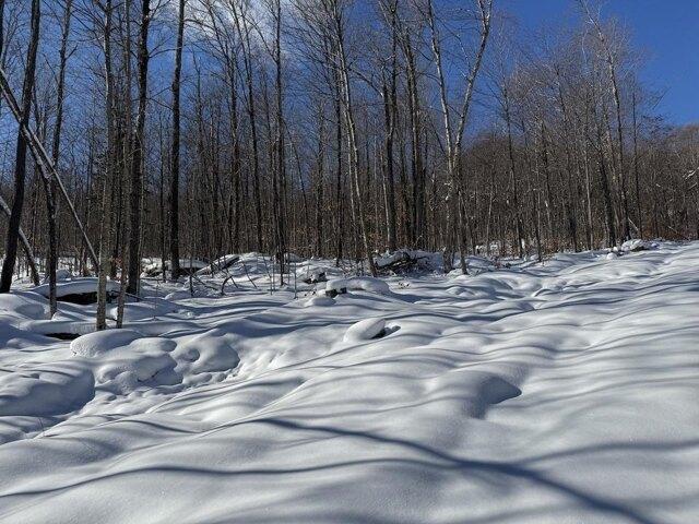 Land for sale in Plymouth, Vermont