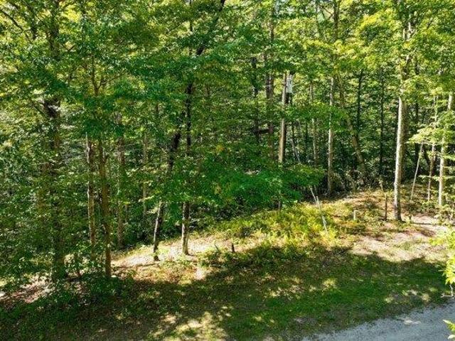 Land for sale in Plymouth, Vermont