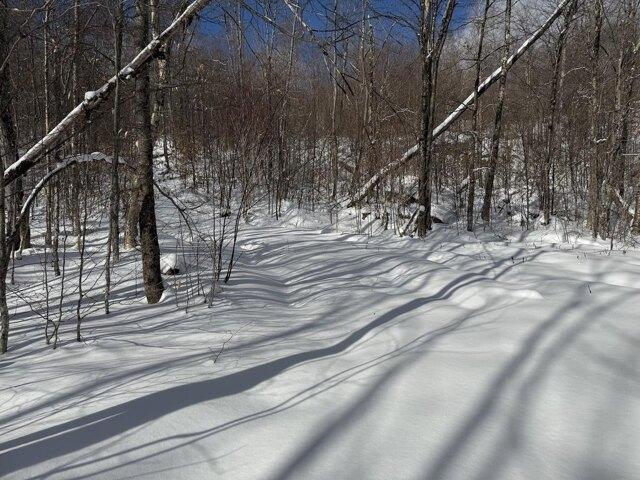 Land for sale in Plymouth, Vermont