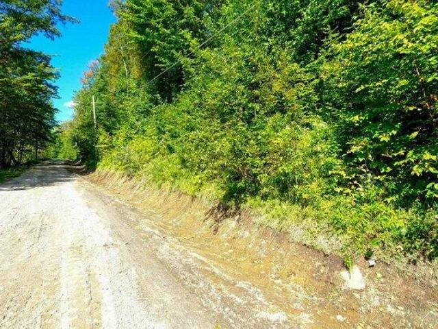 Land for sale in Plymouth, Vermont
