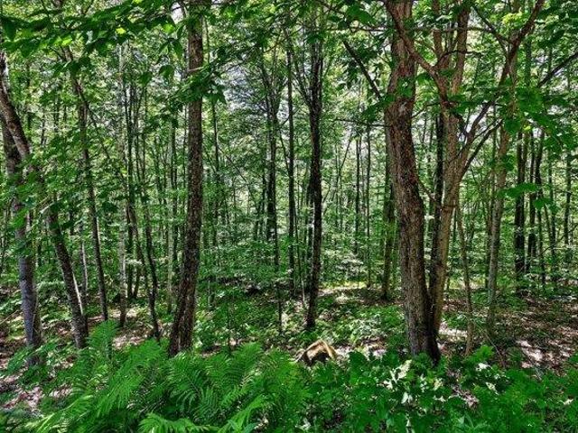 Land for sale in Plymouth, Vermont